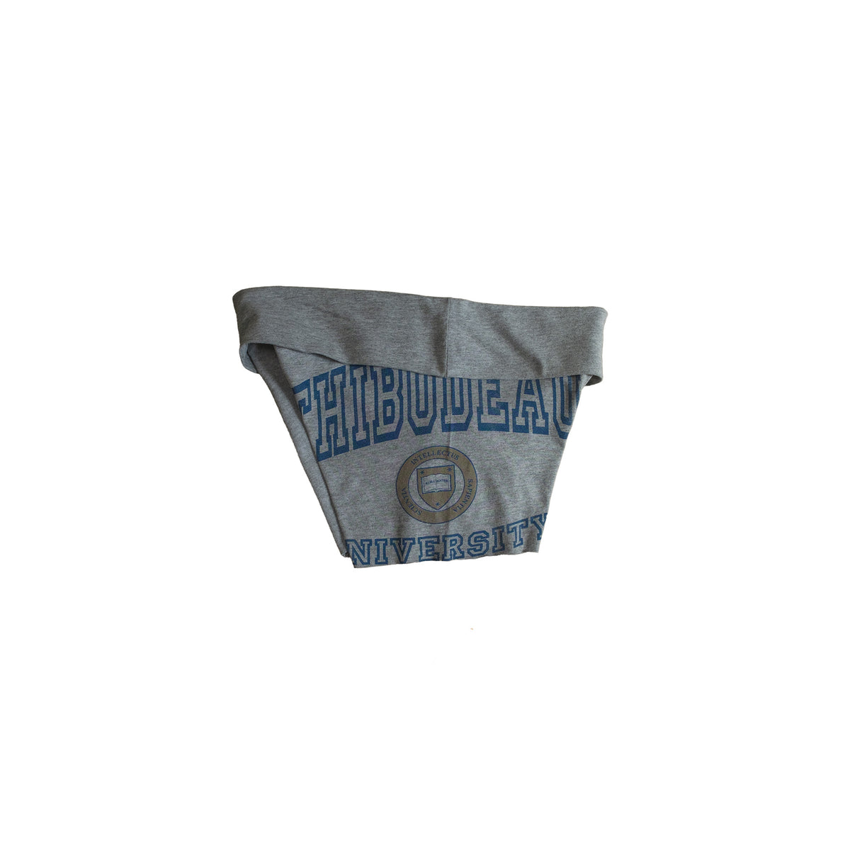 Thibodeau University Micro Shorts