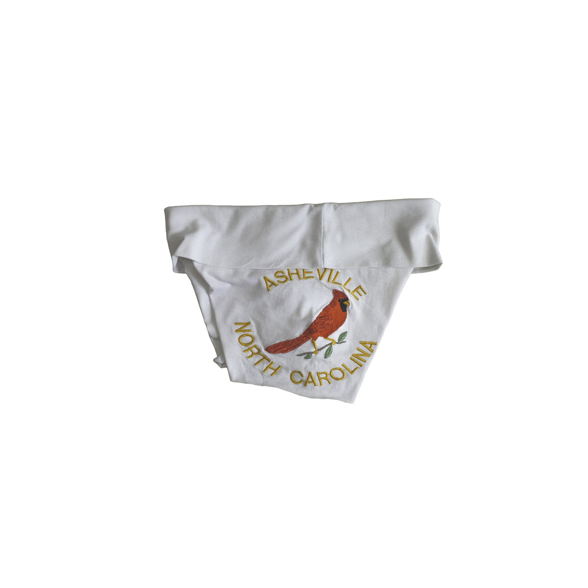 Asheville Cardinal Micro Shorts