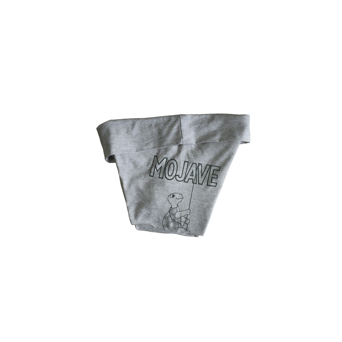 Mojave Micro Shorts