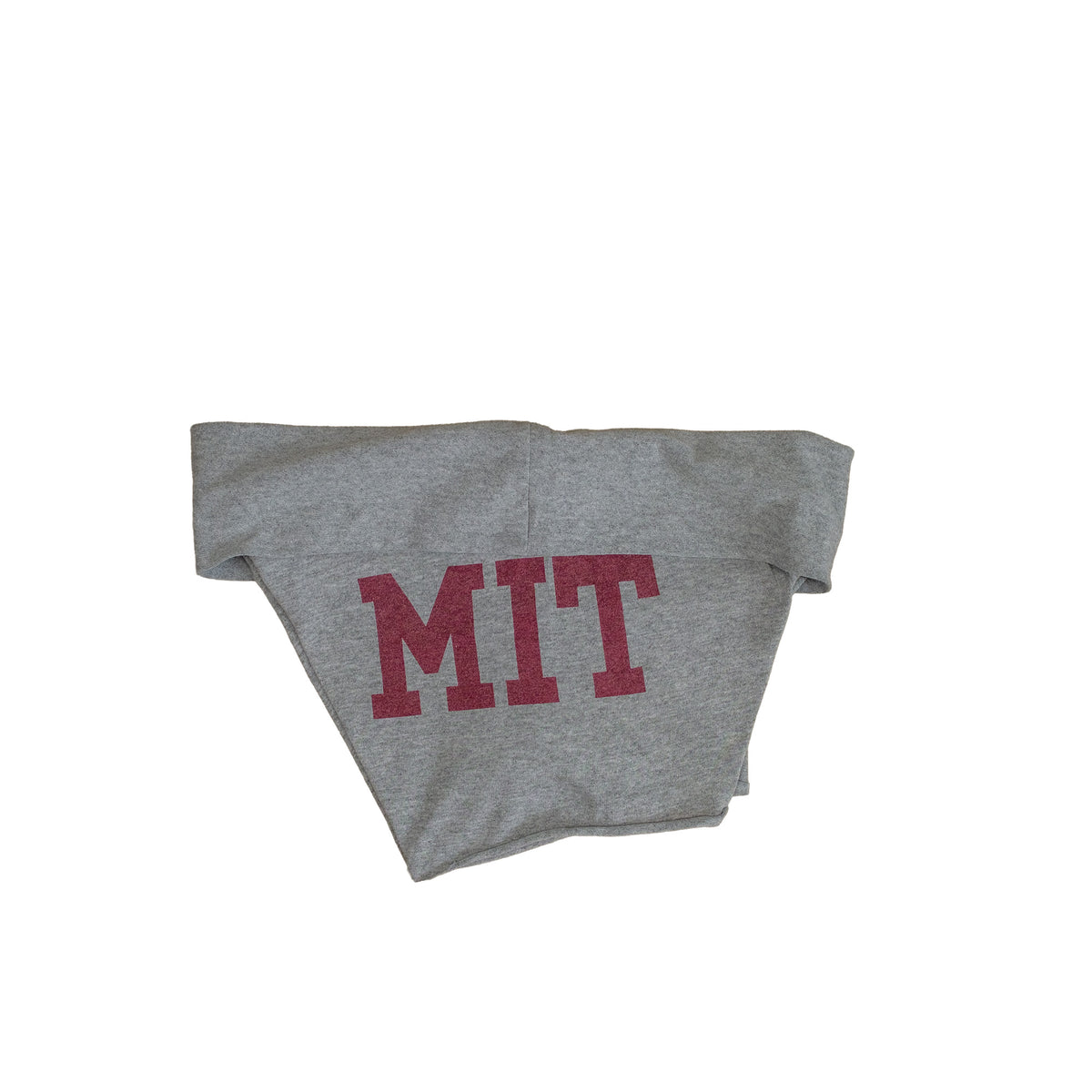 MIT Micro Shorts